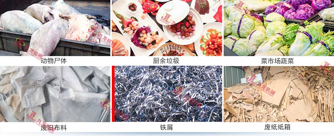 动物尸体 动物尸体